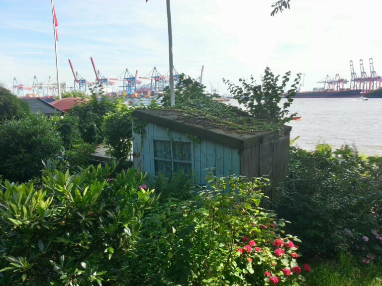 20150802_160624_HDR